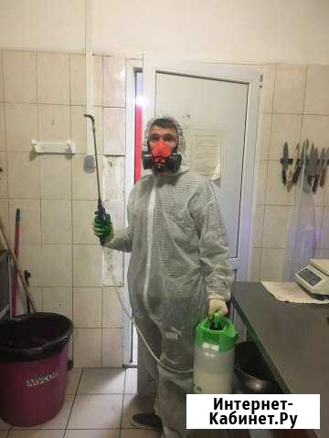 Дезинсекция Волгоград - изображение 1
