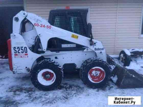 Аренда Минни Погрузчик bobkat s250 Тюмень