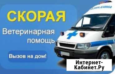 Ветеринарная помощь на дому Саратов - изображение 1