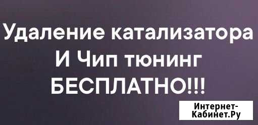 Удаление катализатора и прошивка Авто бесплатно Казань - изображение 1