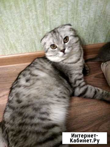 Котик для вязки Ижевск - изображение 1