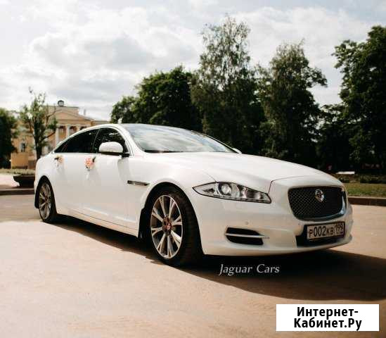 Авто на свадьбу Jaguar XJ Long машина на свадьбу Санкт-Петербург - изображение 1