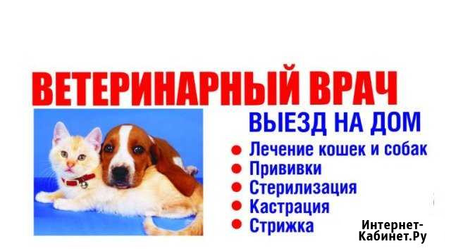 Ветеринар. Ветеринарный врач. Вызов на дом Набережные Челны - изображение 1