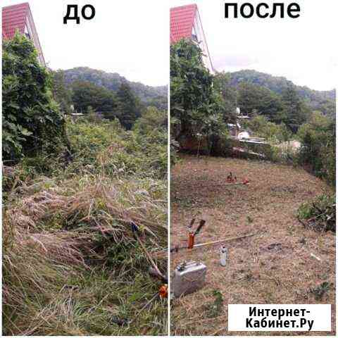 Расчистка участка Сочи