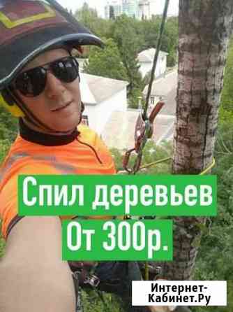 Спил обрезка деревьев Ростов-на-Дону