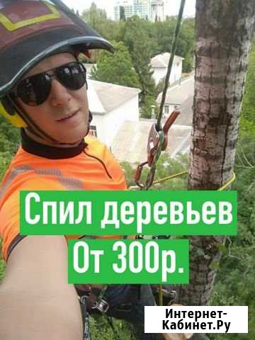 Спил обрезка деревьев Ростов-на-Дону - изображение 1