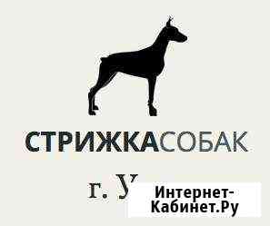 Стрижка собак и кошек в Ухте Ухта