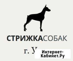 Стрижка собак и кошек в Ухте Ухта - изображение 1