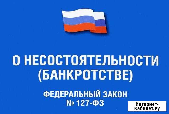 Консультация по процедуре банкротства Тольятти - изображение 1
