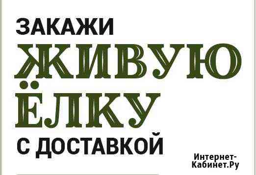 Доставка новогодних Елей и Сосен к вашему дому Кострома