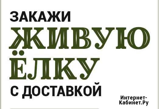 Доставка новогодних Елей и Сосен к вашему дому Кострома - изображение 1