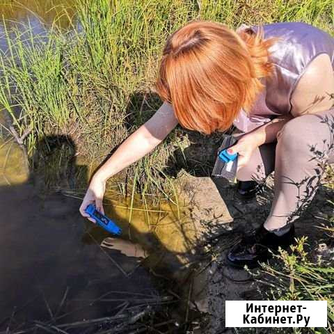 Очистка прудов - (биологическая реабилитация) Ярославль - изображение 1
