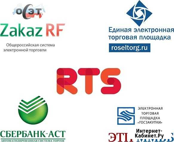 Регистрация в еис (еруз, есиа) и на площадках Казань - изображение 1