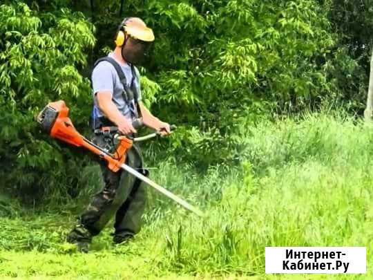 Покос травы,Спил,Культивация,Севастополь Севастополь - изображение 1