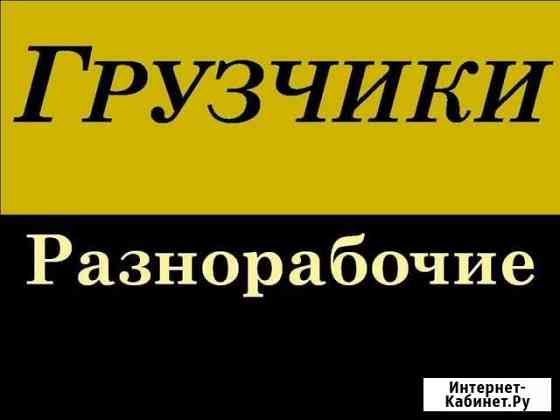 Грузчики 24часа Мытищи