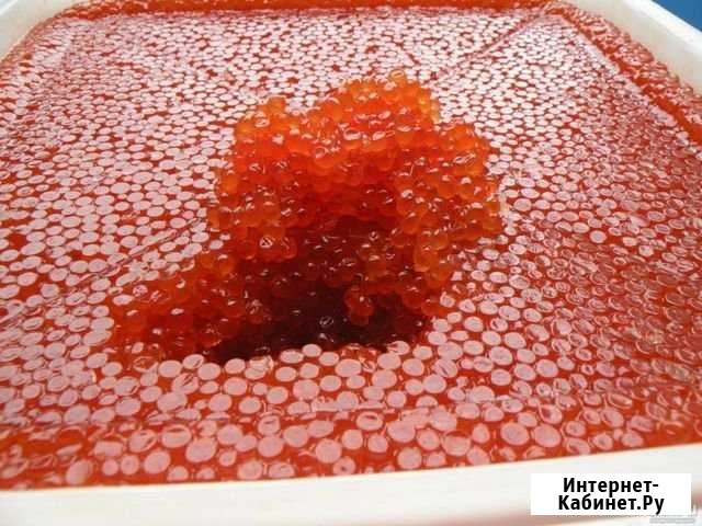 Икра кеты,горбуши,кижуча 2019г опт Бийск - изображение 1