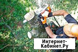 Спил.обрезка деревьев,расчистка участка,корчевка Таганрог - изображение 1
