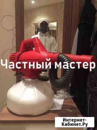 Дезинфекция Уничтожение клопов тараканов гарантия Колпино