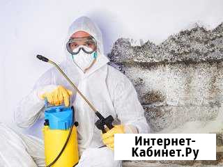 Уничтожение клопов, муравьёв, тараканов, мышей Пенза - изображение 1