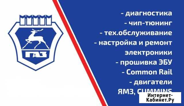 Газель Next (Некст), Валдай диагностика и ремонт Батайск - изображение 1