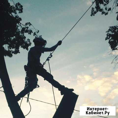 Удаление деревьев. Звенигород, Тучково, Дорохово Звенигород - изображение 1