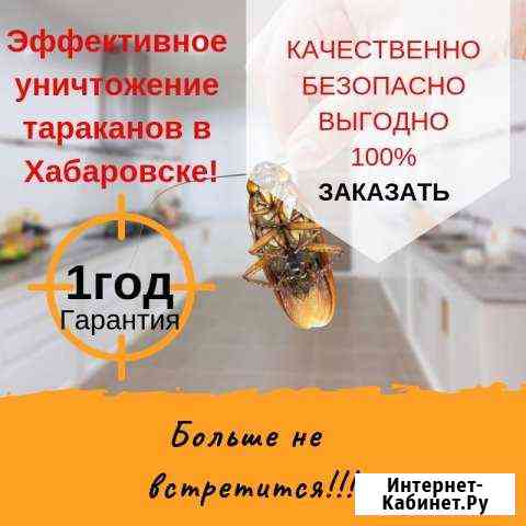 Уничтожение тараканов в Хабаровске все районы Хабаровск