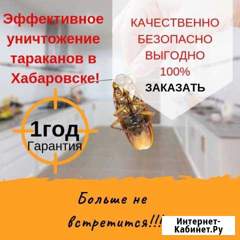 Уничтожение тараканов в Хабаровске все районы Хабаровск - изображение 1