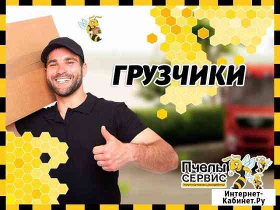 Грузчики Казань