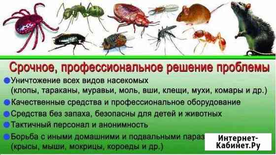 Уничтожение клопов, обработка от клопов Ростов-на-Дону