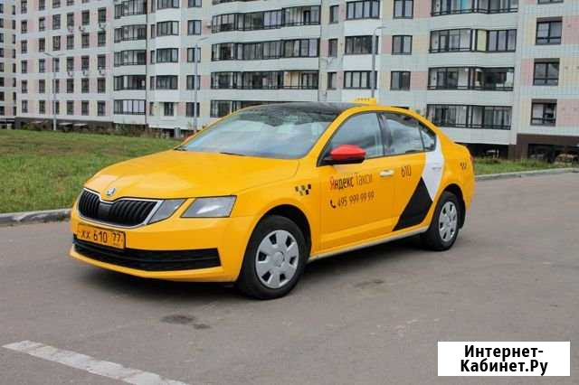 Аренда Skoda Octavia Москва - изображение 1