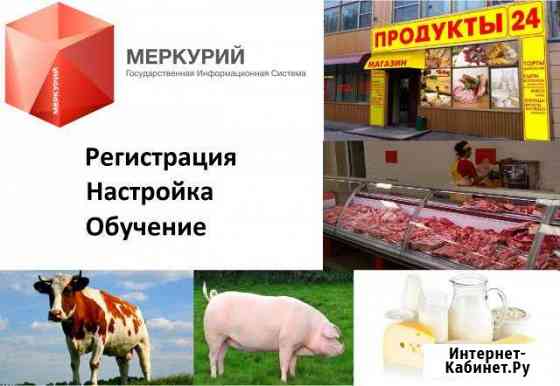Регистрация и настройка Меркурий Россельхознадзор Усть-Лабинск