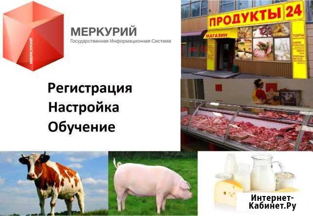 Регистрация и настройка Меркурий Россельхознадзор Усть-Лабинск - изображение 1