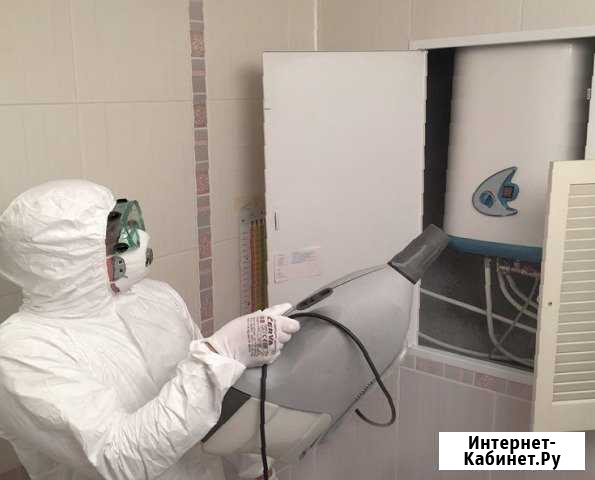 Обработка от клопов тараканов плесени грибка Ростов-на-Дону - изображение 1