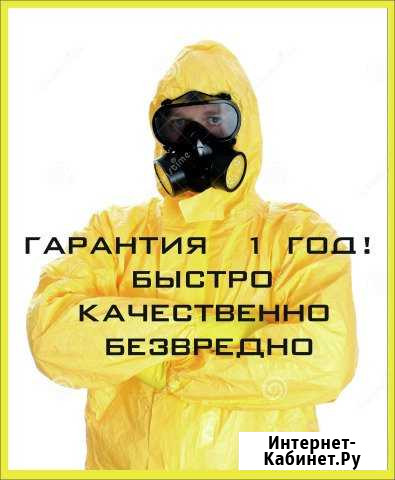 Уничтожение всех насекомых:тараканов, клопов, клещ Самара - изображение 1
