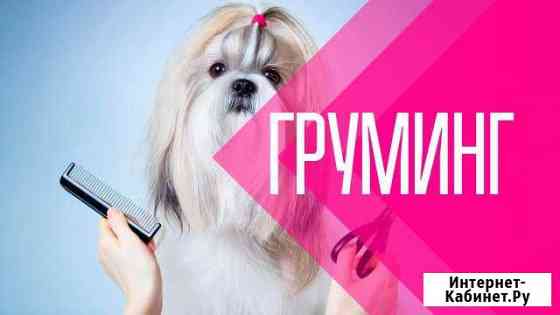 Стрижка собак и кошек Усть-Лабинск