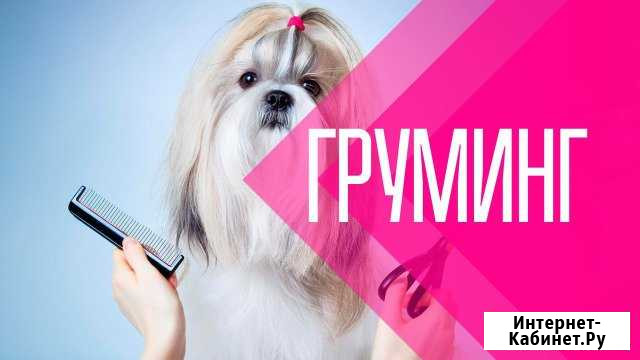 Стрижка собак и кошек Усть-Лабинск - изображение 1