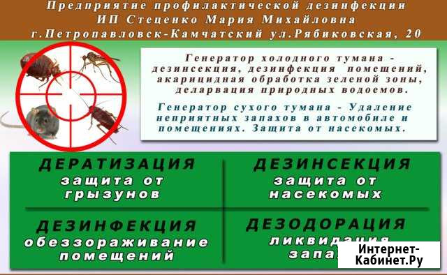 Истребление грызунов и насекомых. тараканы, клопы Петропавловск-Камчатский - изображение 1