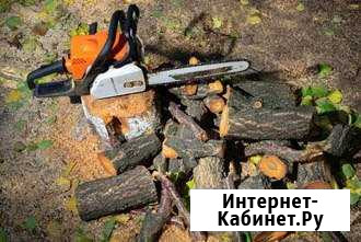 Валка,обрезка деревьев,заготовка дров Каневская - изображение 1