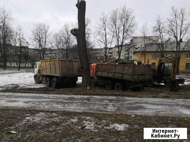 Вывоз мусора Великие Луки - изображение 1