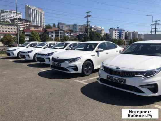 Аренда авто такси, прокат Сочи