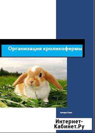 Разработка бизнес-плана Казань