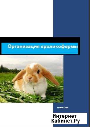 Разработка бизнес-плана Казань - изображение 1