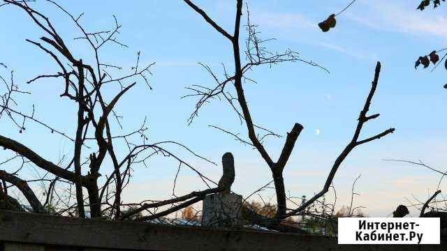 Видеосъемка в Твери и области Тверь - изображение 1