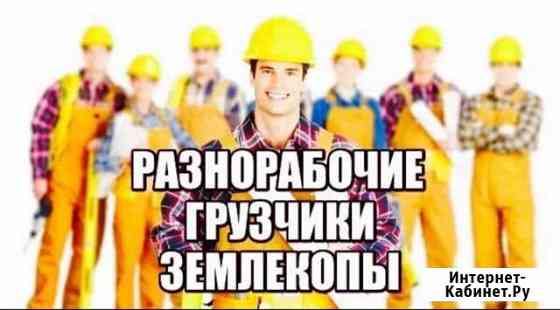 Грузчики Нижнекамск