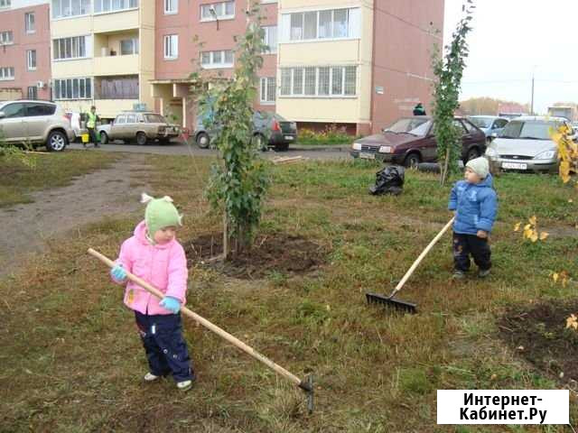 Уборка территории Балаково - изображение 1