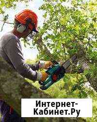 Подрезка и спил деревьев Дубовое