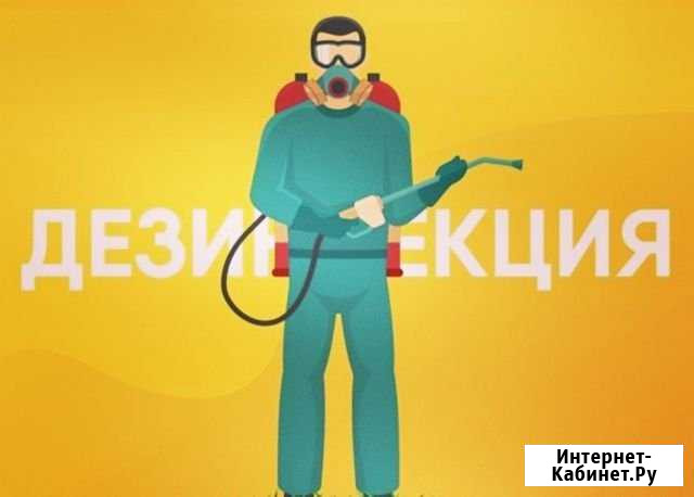 Уничтожение насекомых(тараканов, клопов, муравьев) Иркутск - изображение 1