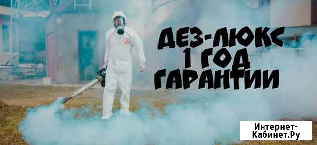 Уничтожение клопов, тараканов 1 год гарантии Уфа - изображение 1