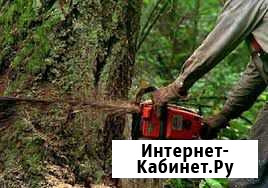 Спил деревьев, уборка завалов Новороссийск - изображение 1