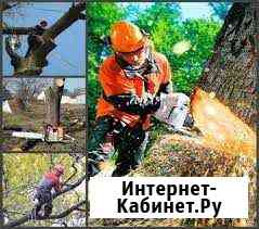 Спил деревьев,уборка,расчистка участка,вывоз Таганрог